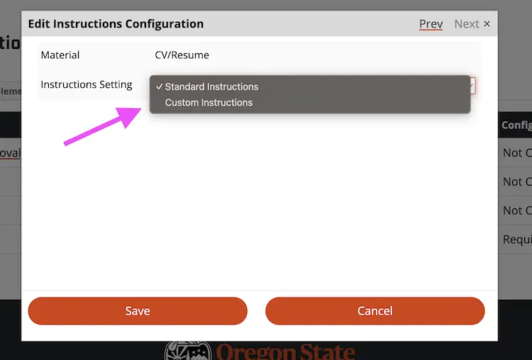 Arrow pointing to the custom instructions selection option
